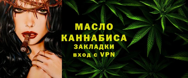 молекула духа Козельск